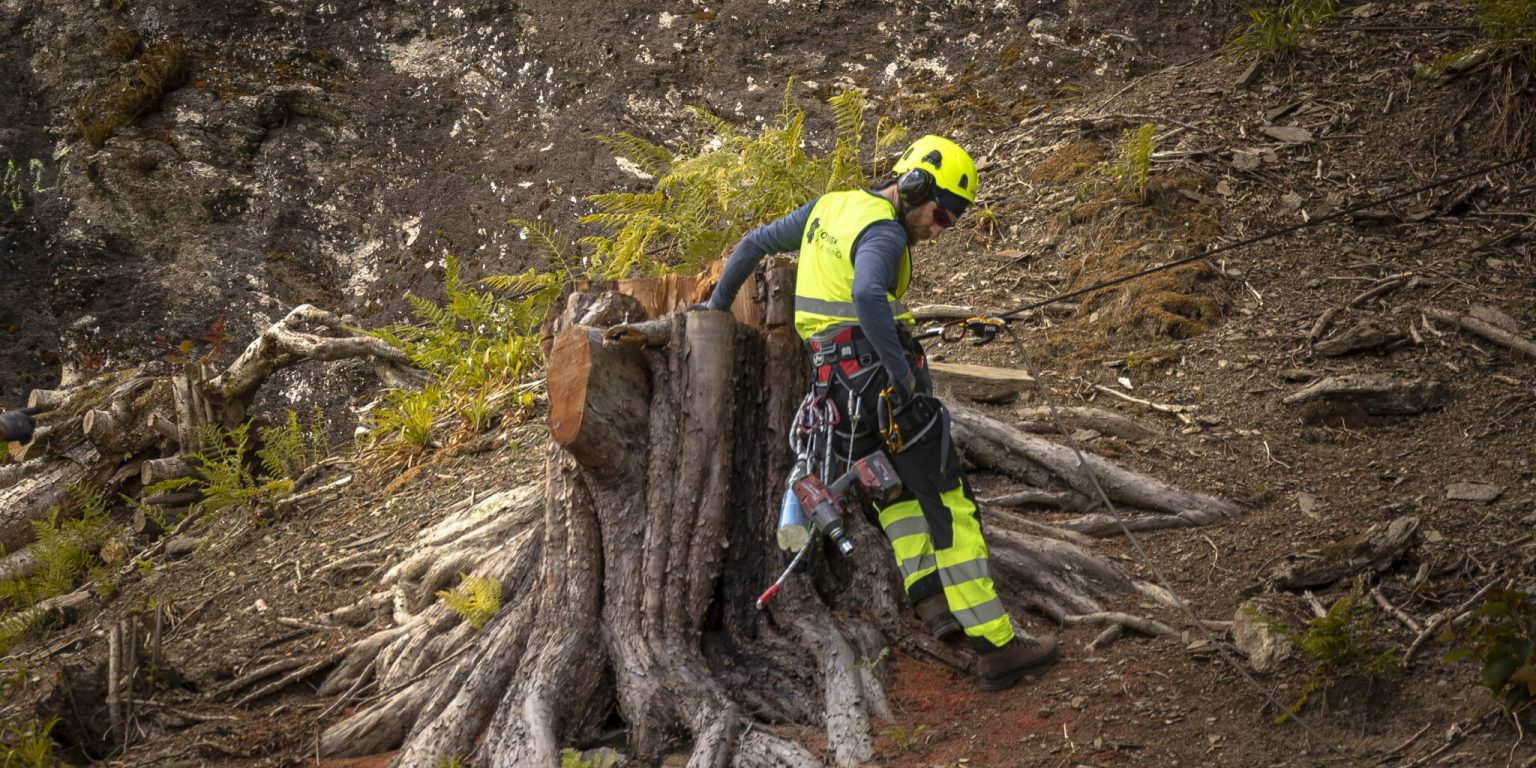 20240611-_K7A5207Heidi-Marie-Goperod-tlf-92080008-fotograf-2048x2048-panorama-nordisk-fjellsikring.jpg